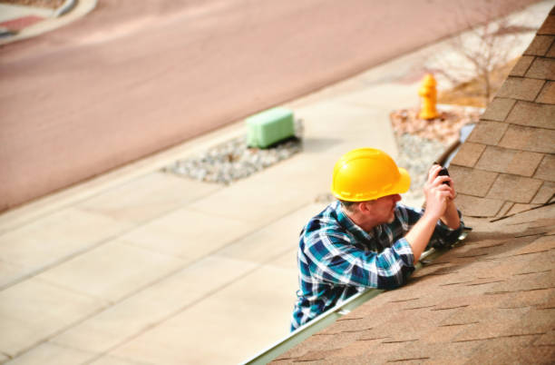 Roof Gutter Cleaning in Richland, GA